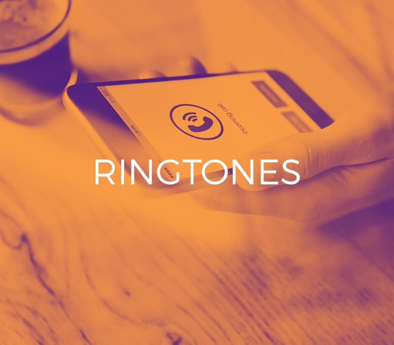 responsive slide website