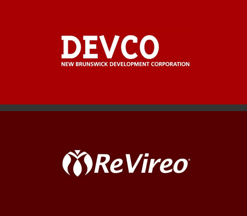 ruleed responsive website revireo